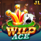 Wild Ace aviation card slot icon